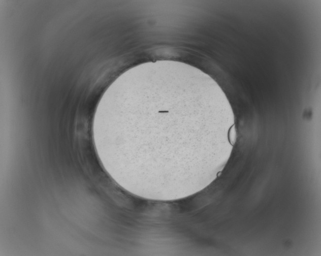 X0000113000330200910081204