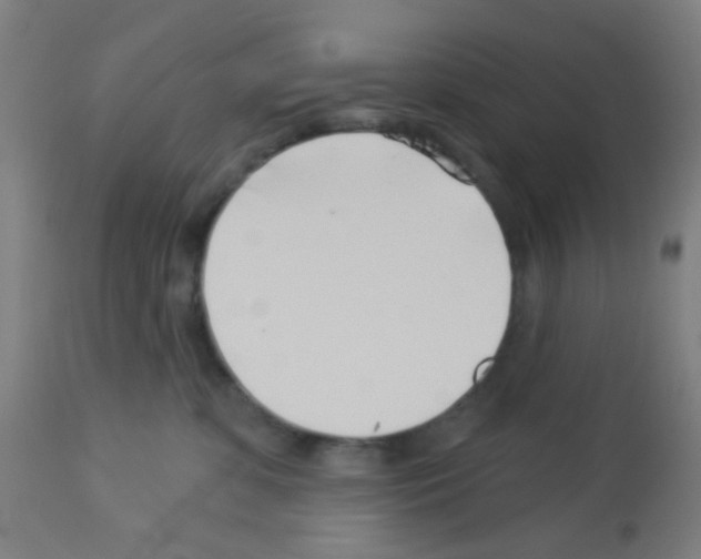 X0000113000331200910081204