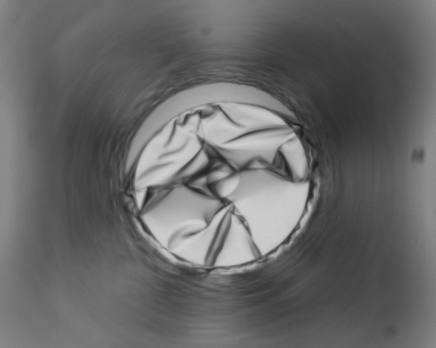 X0000113000332200910081204