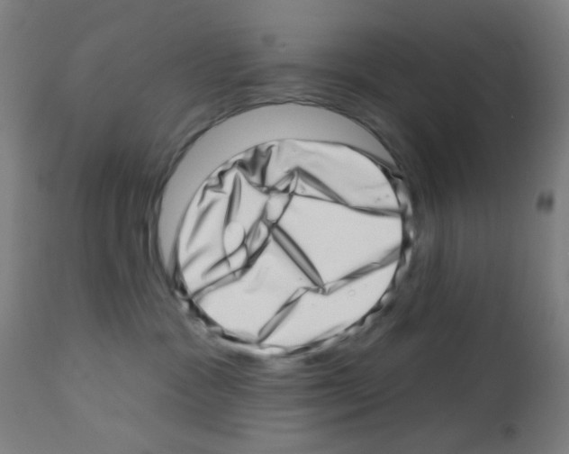 X0000113000333200910081204