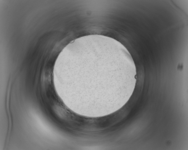 X0000113000334200910081204