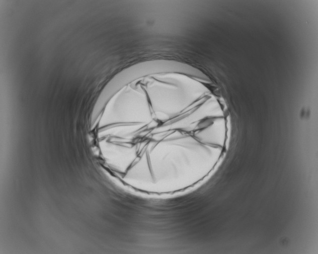 X0000113000336200910081204