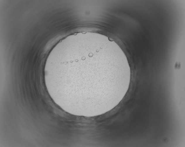 X0000113000337200910081203