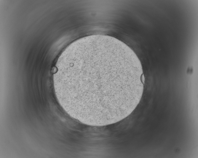 X0000113000338200910081203