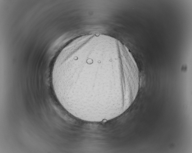 X0000113000339200910081203