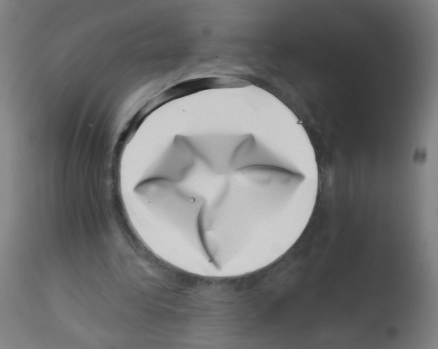 X0000113000340200910081204