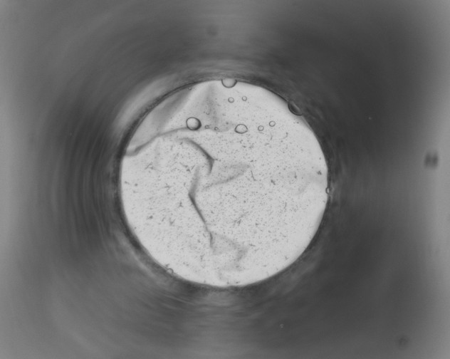 X0000113000341200910081204