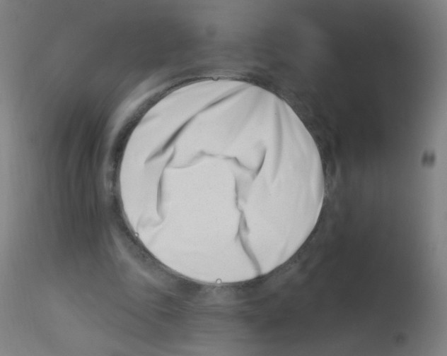 X0000113000343200910081204