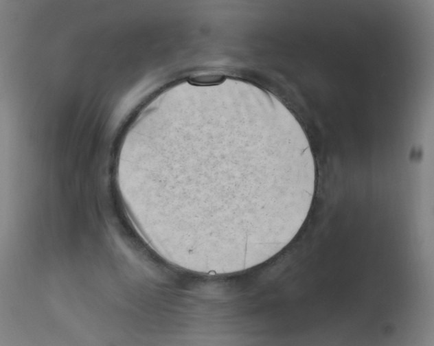 X0000113000344200910081204