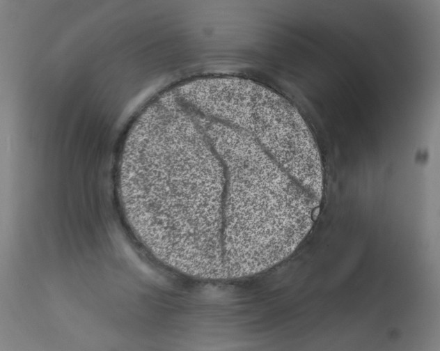 X0000113000346200910081204