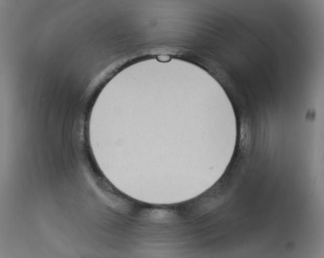 X0000113000348200910081204