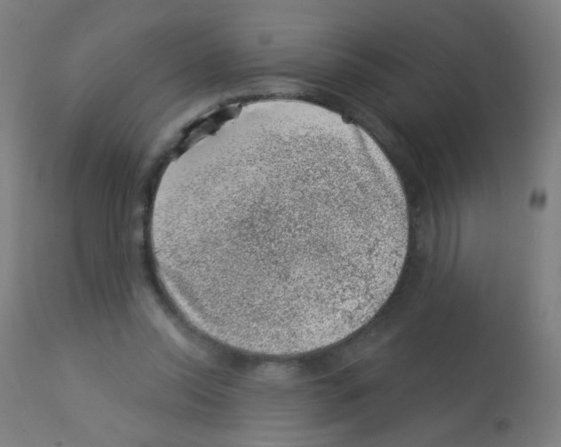 X0000113000350200910081204