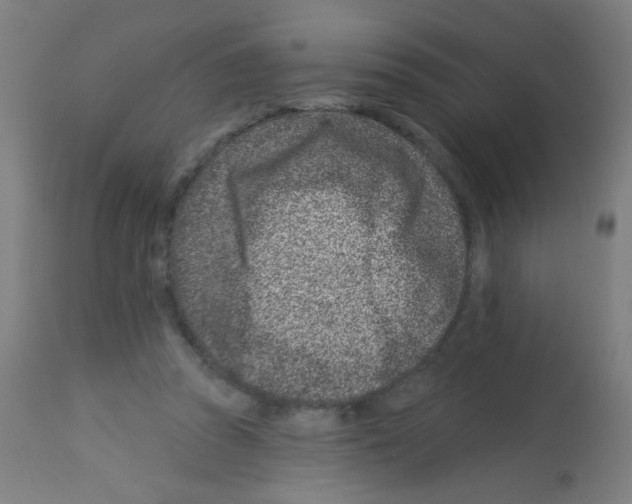 X0000113000353200910081204