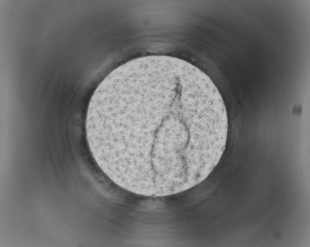 X0000113000354200910081204