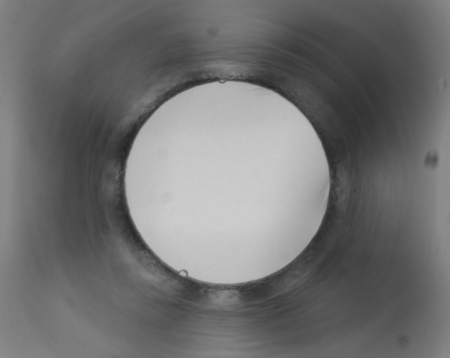 X0000113000355200910081204