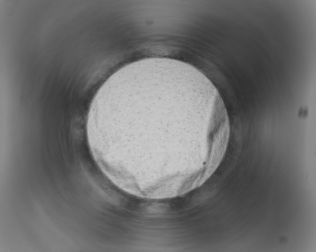 X0000113000359200910081204