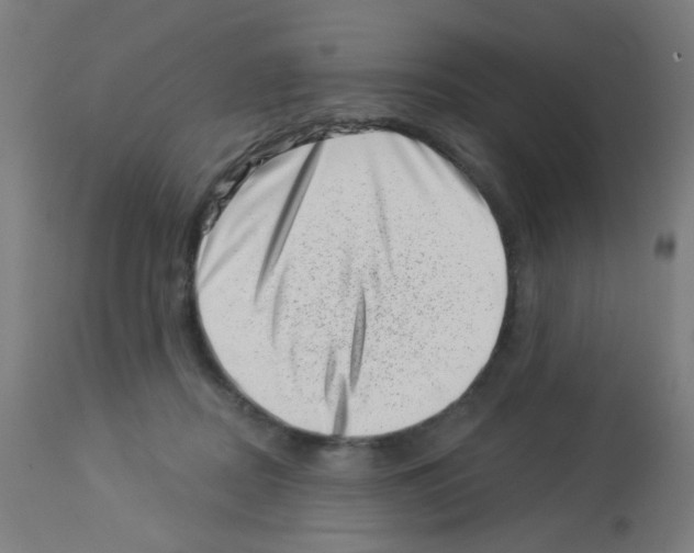 X0000113000362200910081204