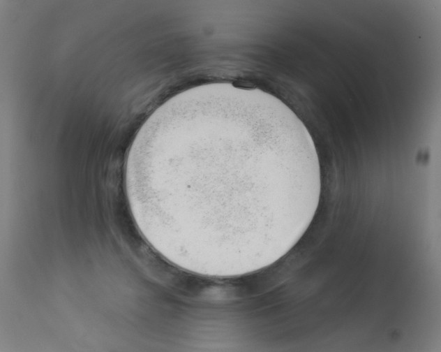 X0000113000364200910081204