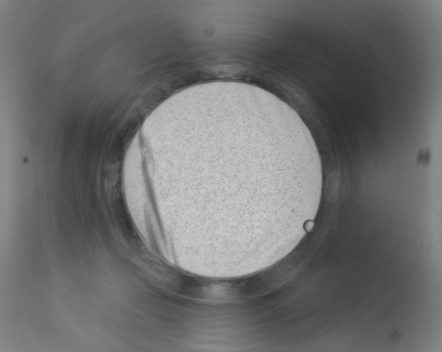 X0000113000365200910081204