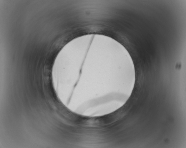 X0000113000366200910081204