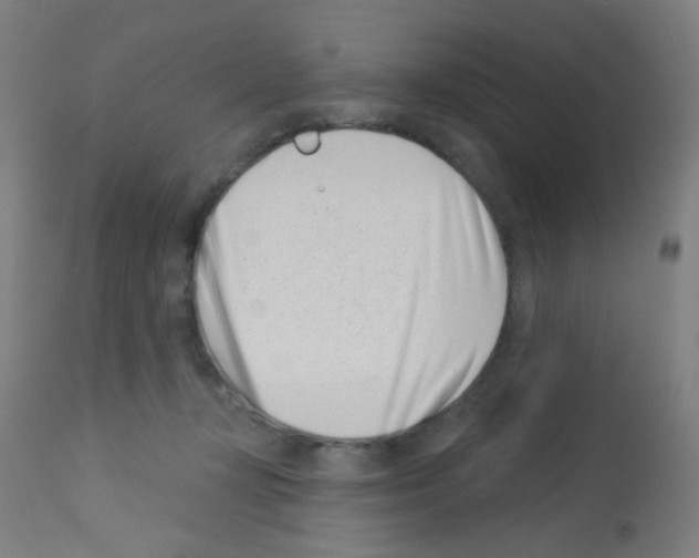 X0000113000367200910081204