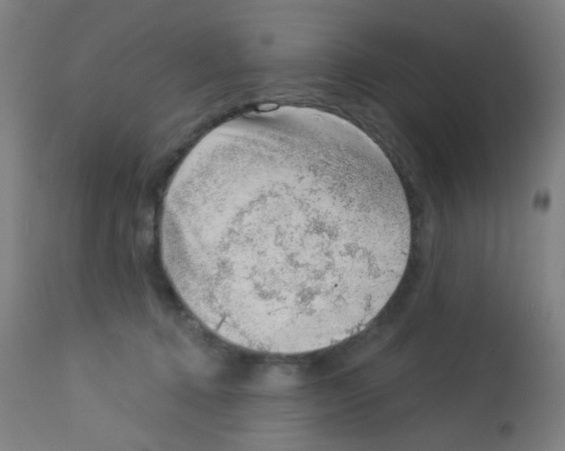 X0000113000368200910081204