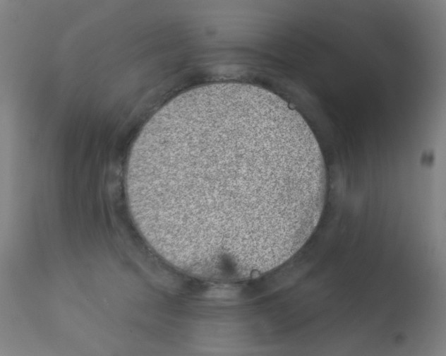 X0000113000369200910081204