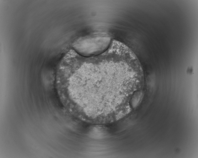 X0000113000372200910081204