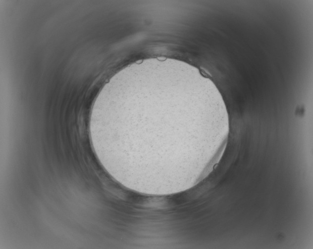 X0000113000377200910081204