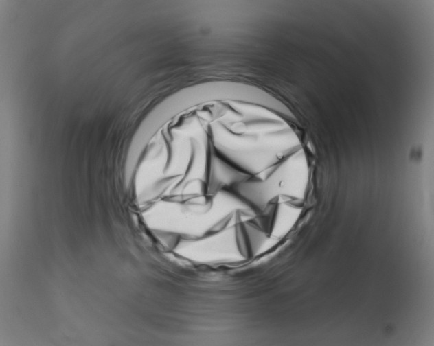 X0000113000380200910081204