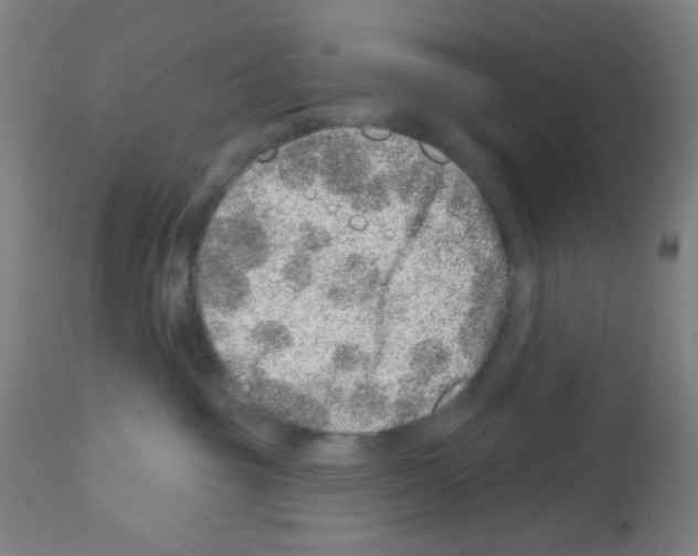 X0000113000381200910081204