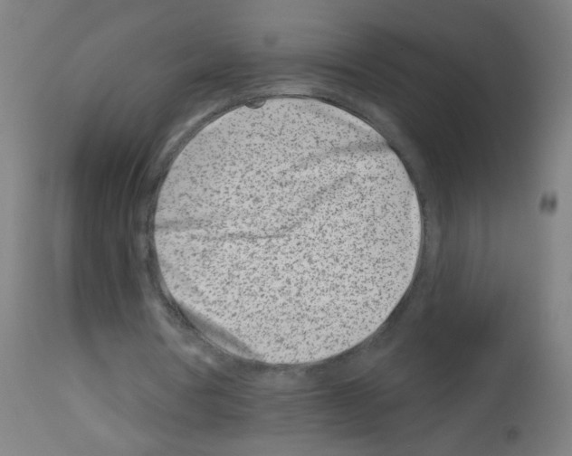 X0000113000386200910081203