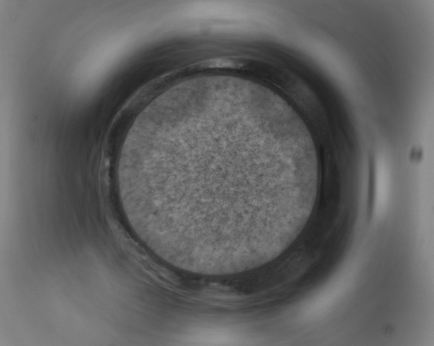 X0000113000387200910081203