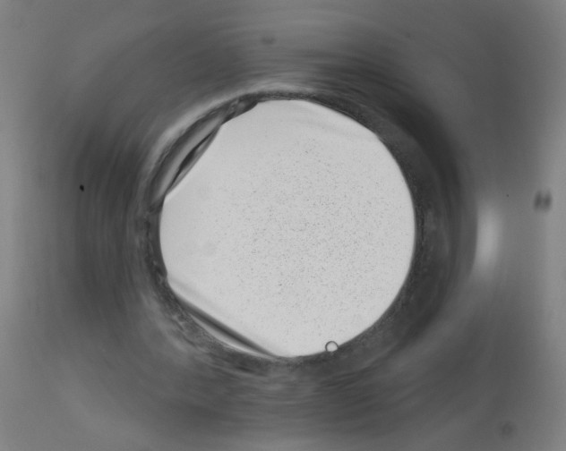 X0000113000388200910081203