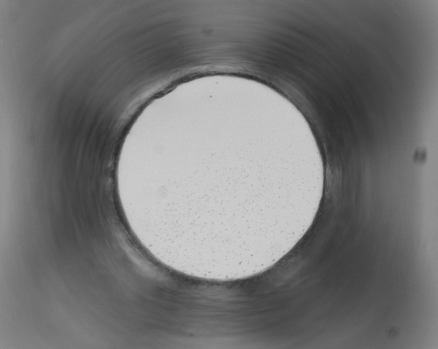 X0000113000389200910081203