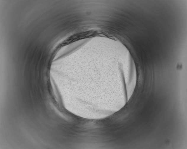 X0000113000390200910081203