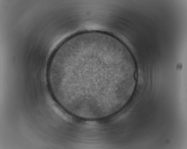 X0000113000391200910081203