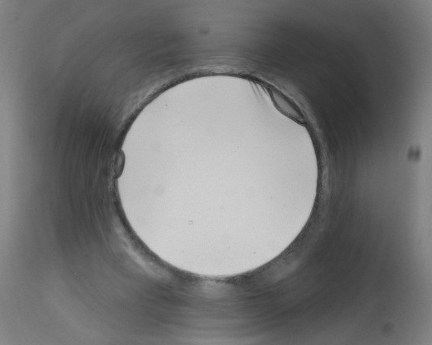 X0000113000393200910081203