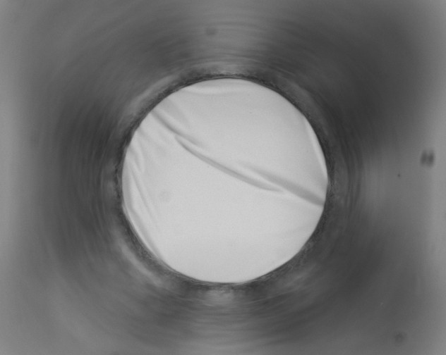 X0000113000394200910081203