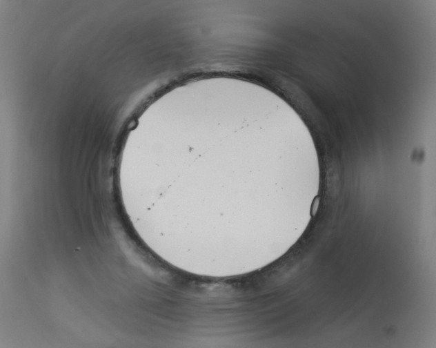 X0000113000395200910081203