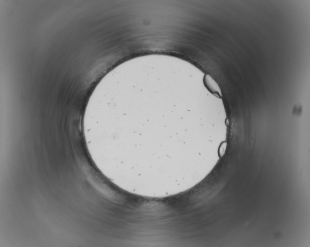 X0000113000397200910081203