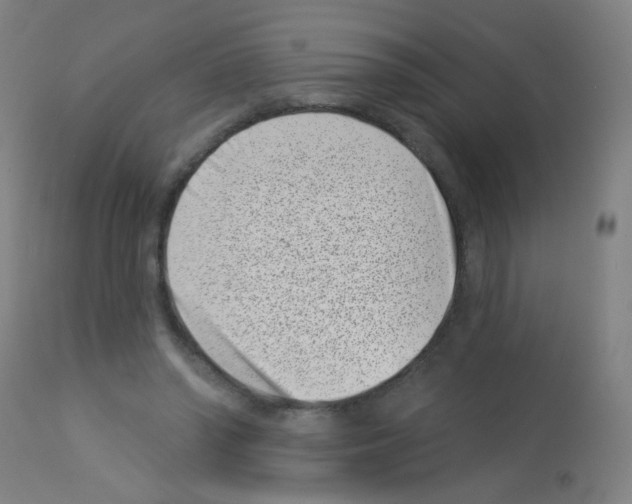 X0000113000398200910081203