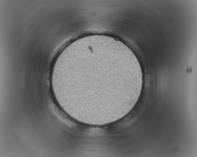 X0000113000399200910081203