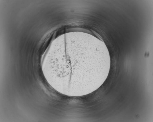 X0000113000400200910081203