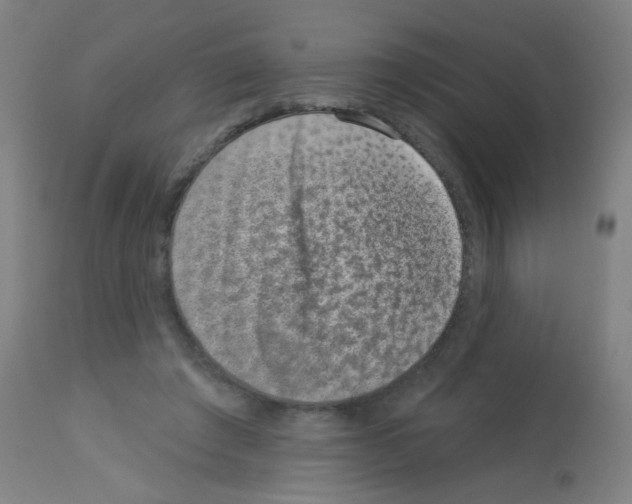 X0000113000401200910081203