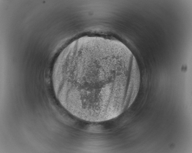 X0000113000403200910081203