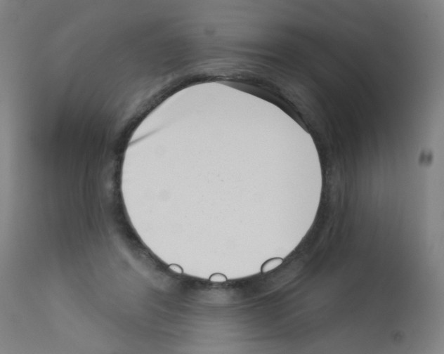 X0000113000404200910081203