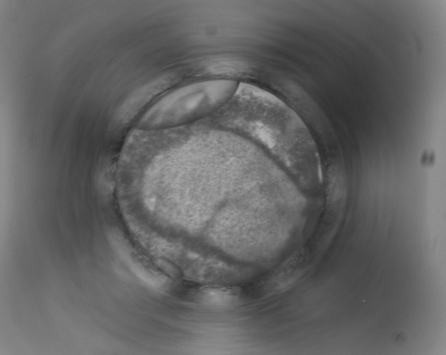 X0000113000405200910081203