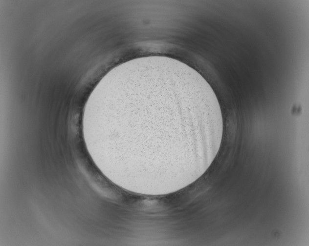 X0000113000406200910081203