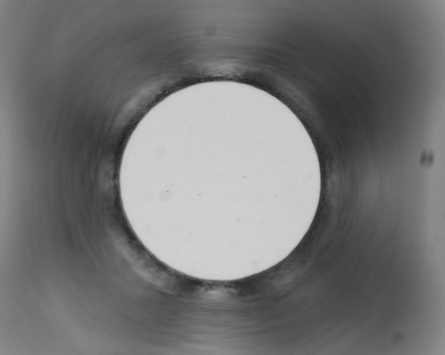 X0000113000407200910081203